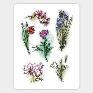 Spring Flowers set, Art Nouveau flower pattern, nature, Tulip, Iris, Cherry blossom, Primrose, Pastel, Watercolor style Magnet